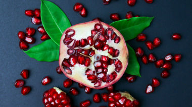 garnishing-instructions-image